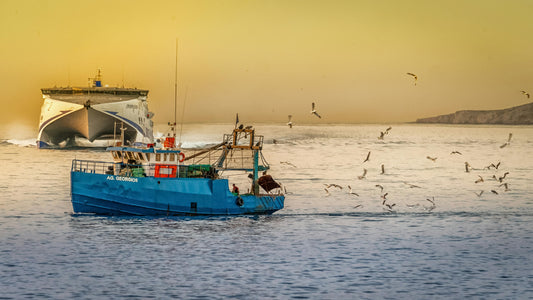 Mastering Fishing Trolling: Techniques, Gear, and Tips